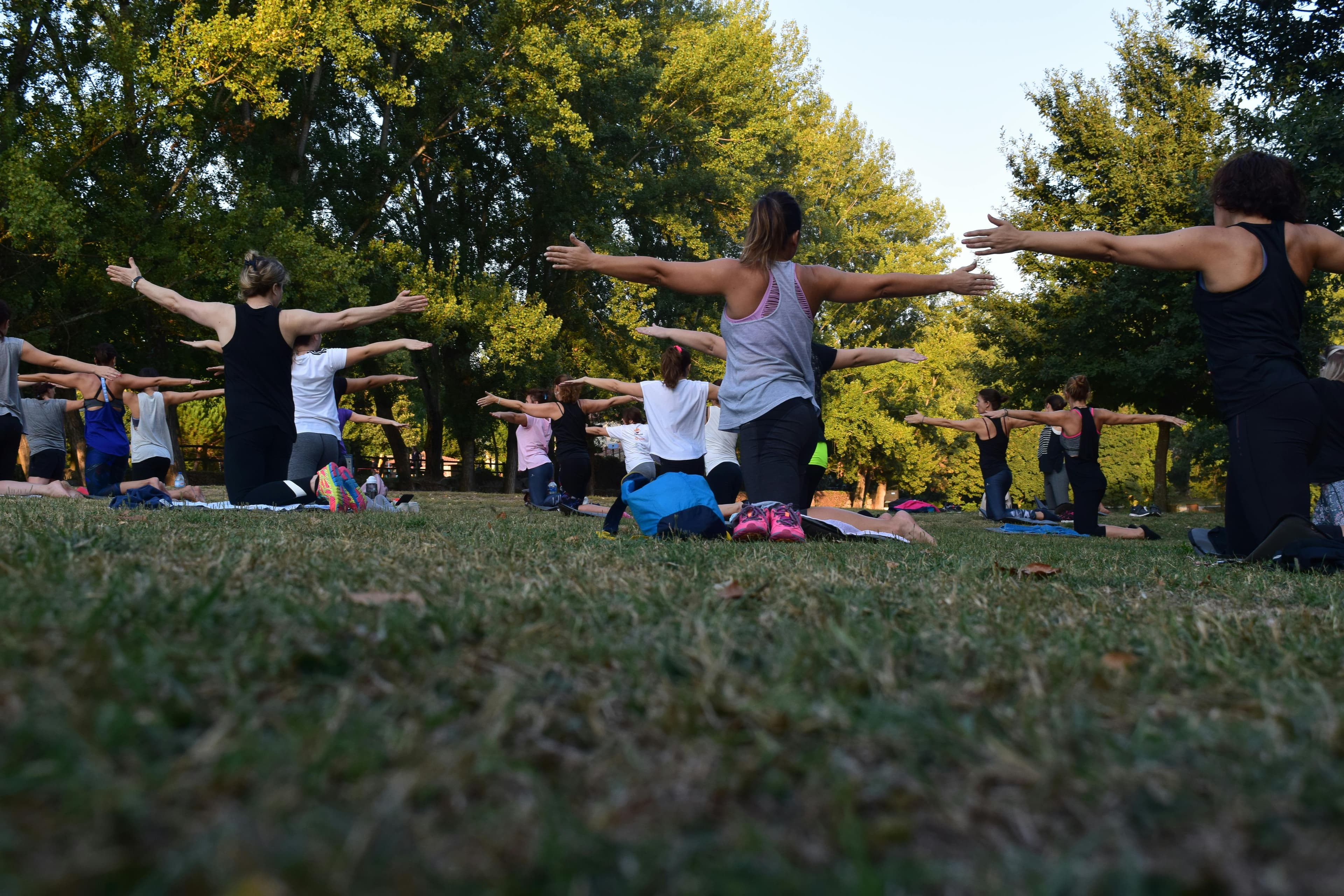 Donne Che Eseguono Yoga Sull'erba Verde Vicino Agli Alberi