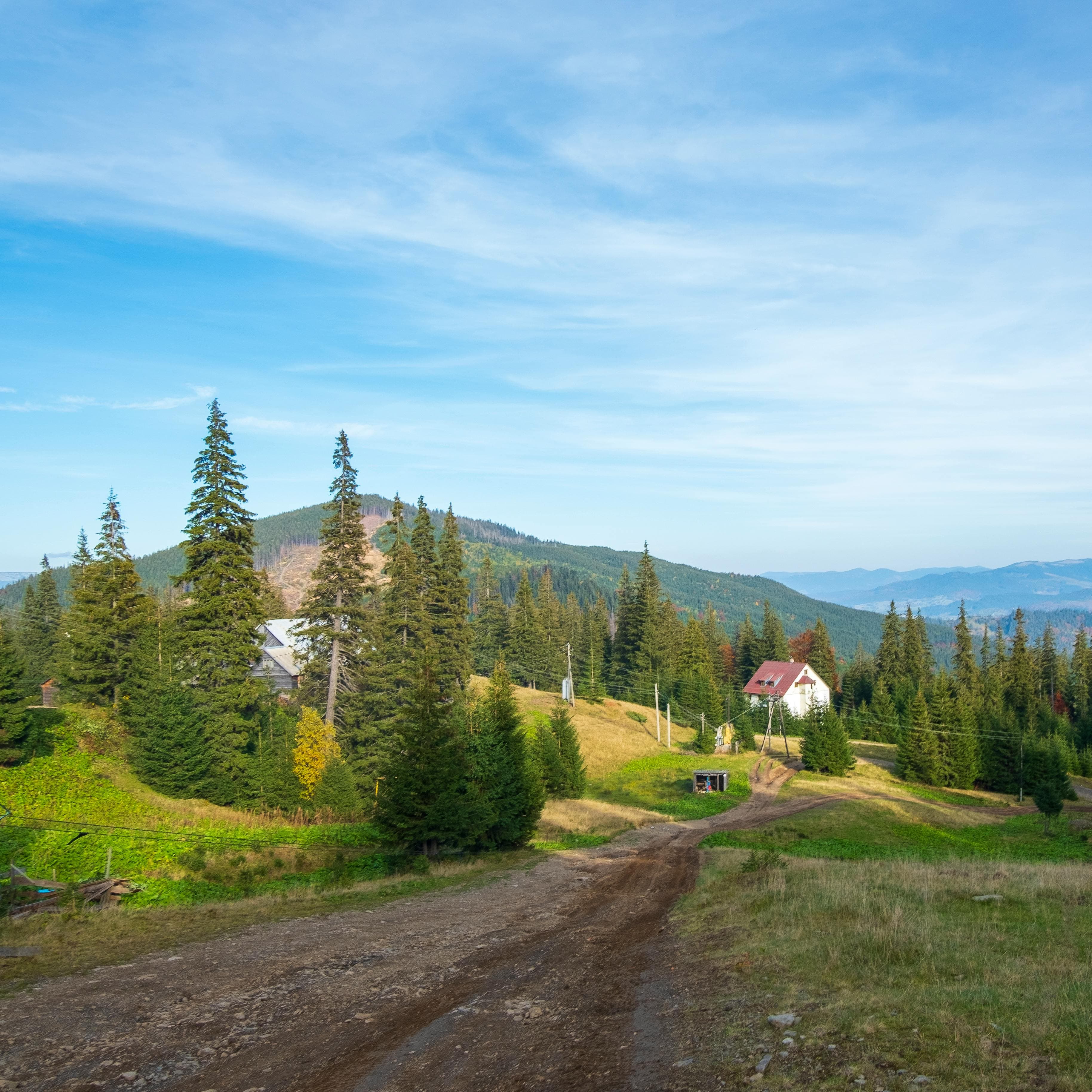 Бесплатное стоковое фото с alpine, autumn, background