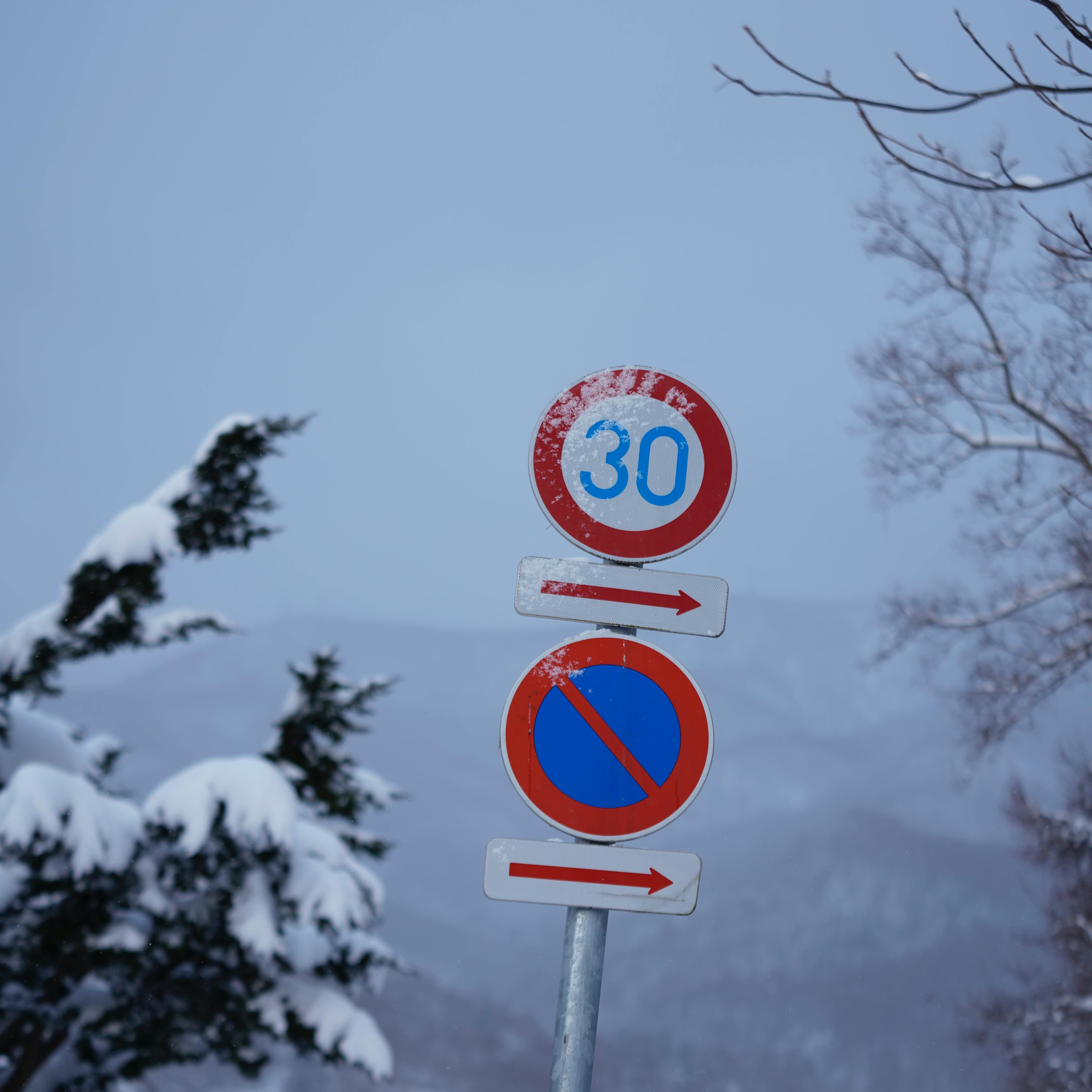 Señales de velocidad y de prohibición de estacionamiento en un paisaje invernal nevado.