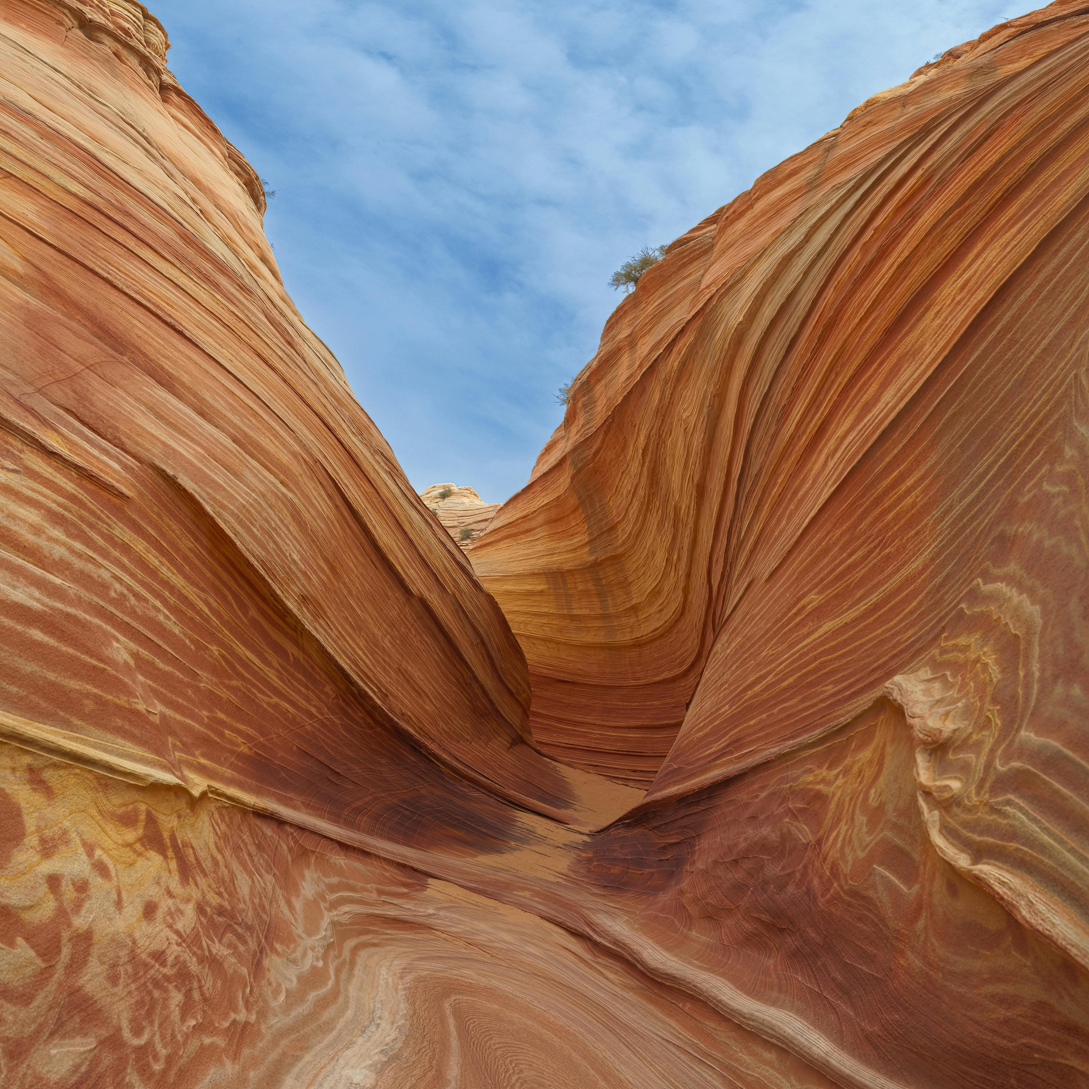 Erkunden Sie die atemberaubenden Sandsteinwellen und Muster von The Wave in der Wüste von Arizona.