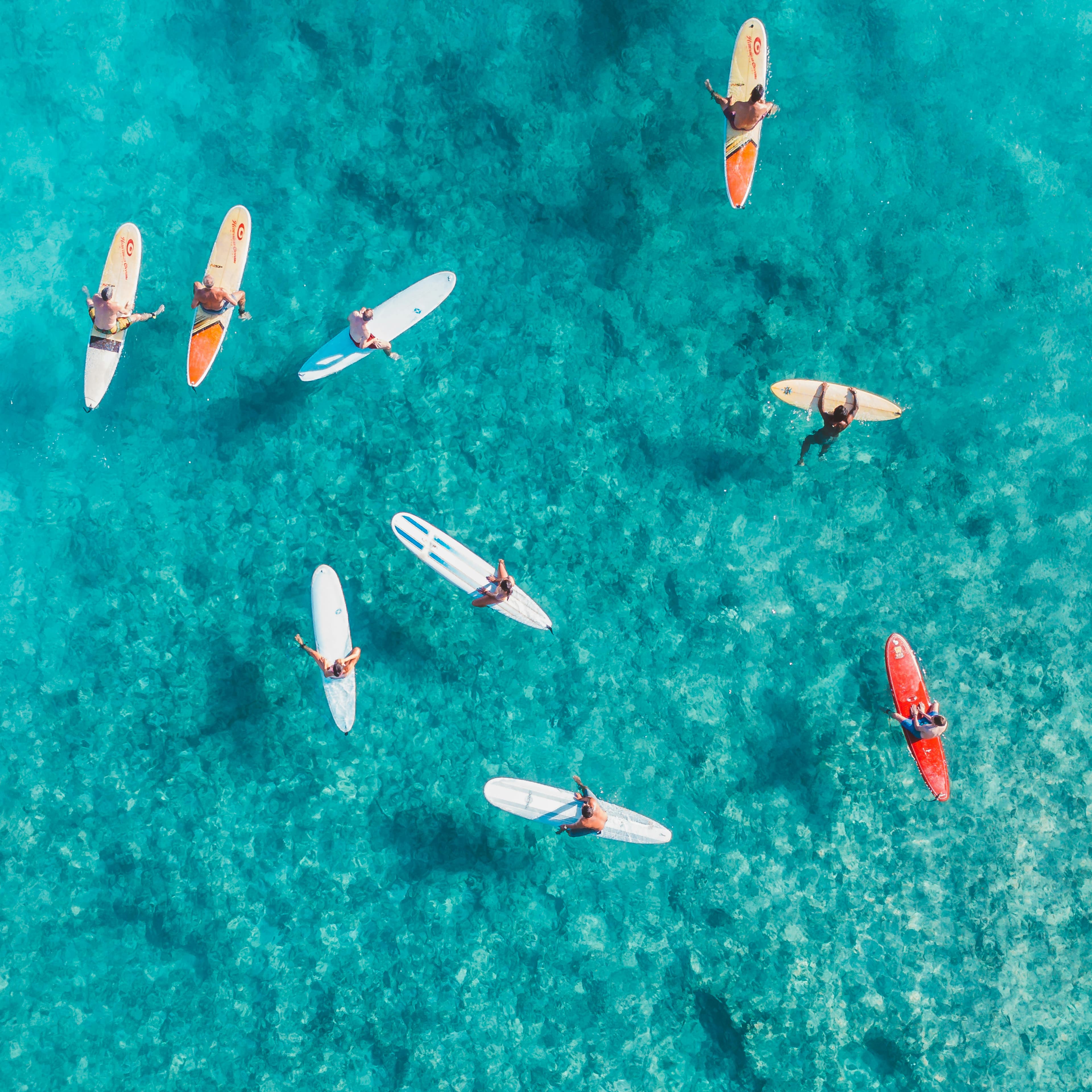 Aerial shot of surfers resting on surfboards in clear blue ocean, a perfect summer water sport scene.